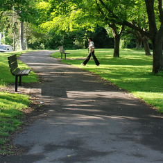 Blakers Park in summer