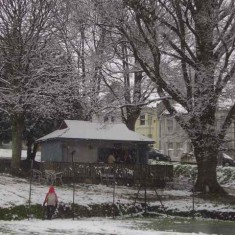 Blakers Park in winter